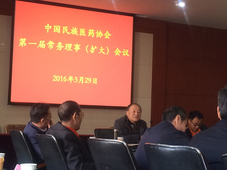 动态中国民族医药协会第一届常务理事（扩大）会议.jpg